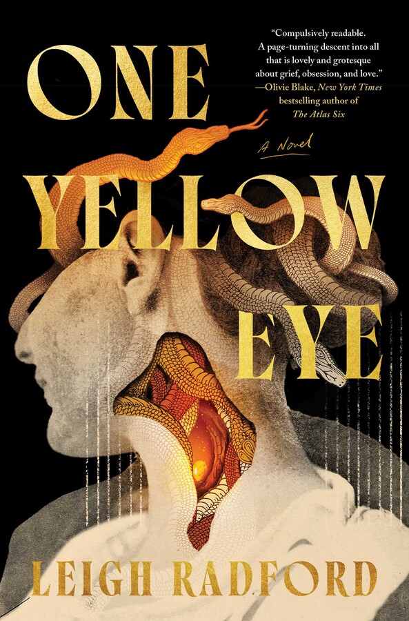 Book cover of One Yellow Eye by Leigh Radford